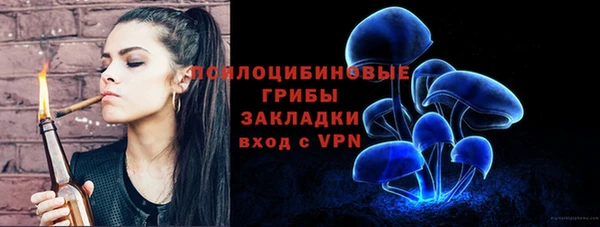 ECSTASY Дмитровск