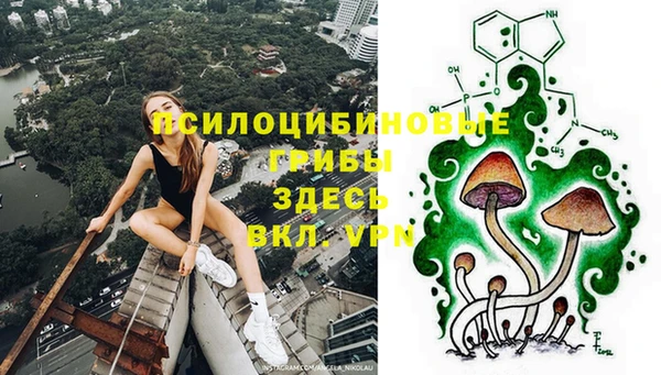 ECSTASY Дмитровск