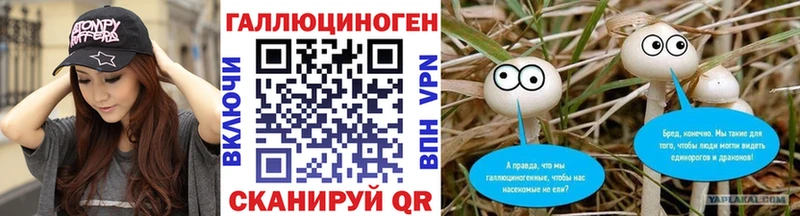 Купить закладки  Могоча  Псилоцибиновые грибы Psilocybine cubensis 